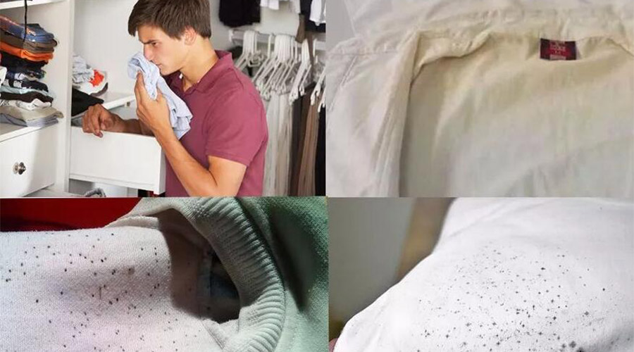 衣服護理小常識：潮濕天衣物有霉味不宜穿  該怎么辦？