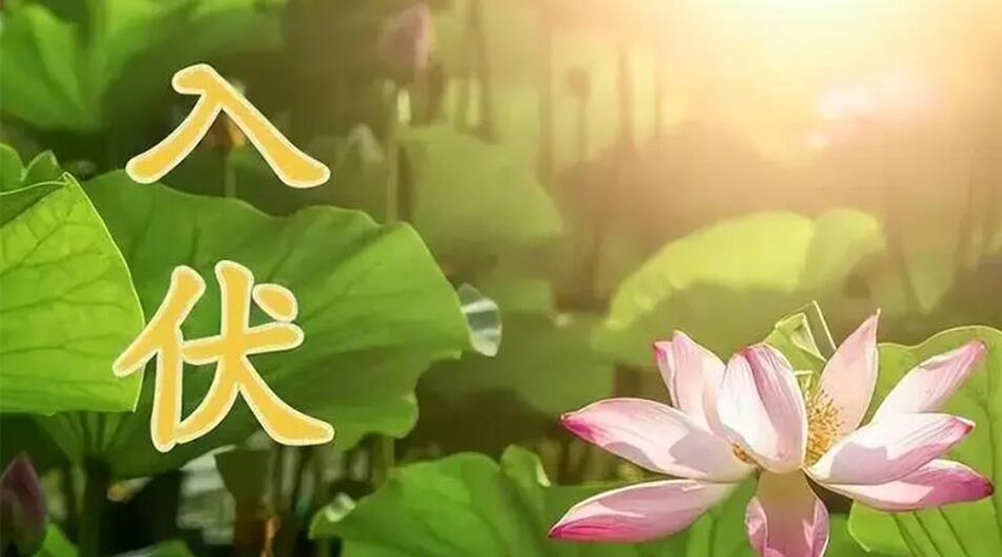 入伏天來襲！金環(huán)電器提醒大家要注意的事項(xiàng)