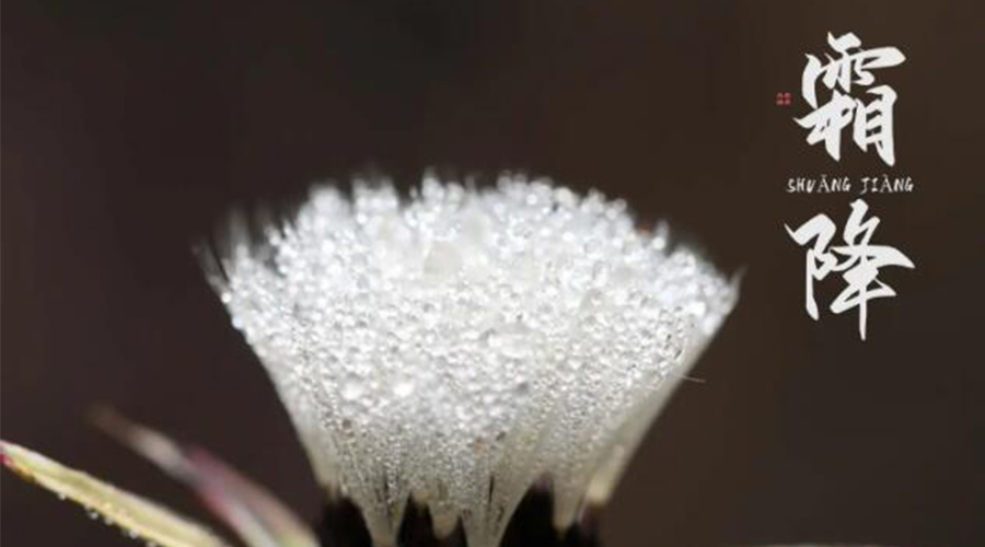 霜降時(shí)節(jié)！金環(huán)電器提醒大家要注意的事項(xiàng)