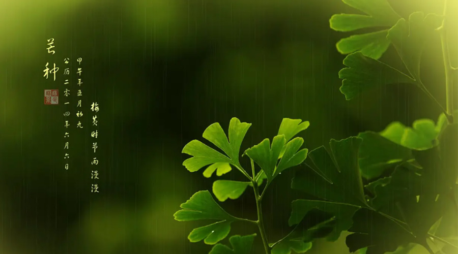 芒種時節(jié)！金環(huán)電器提醒大家的注意事項