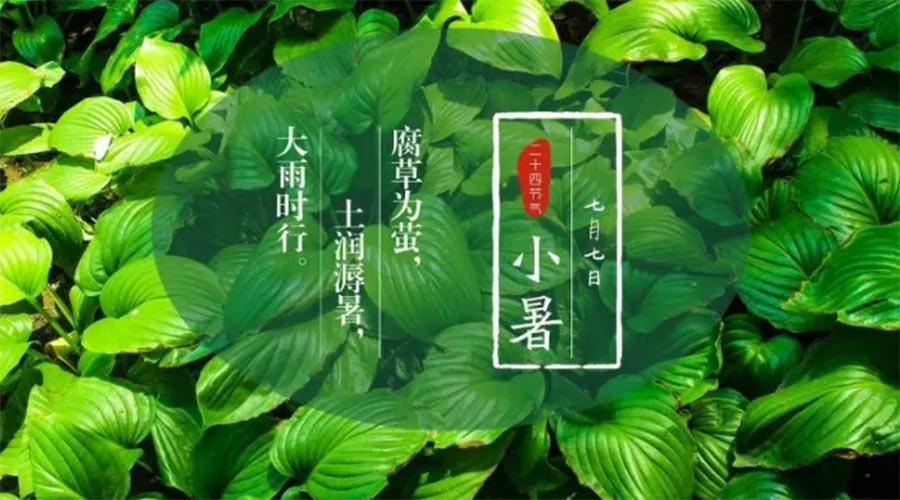 小暑時節(jié)來到！金環(huán)電器提醒大家要注意的事項