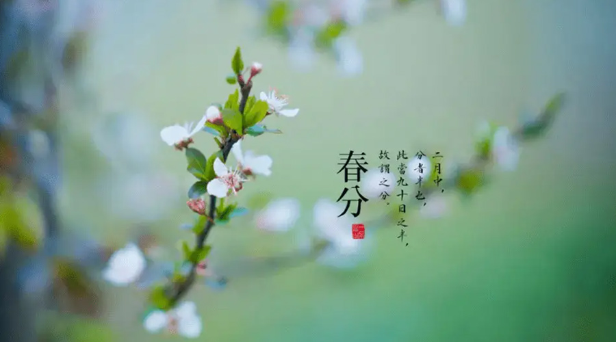 春分雨水多易生菌！金環(huán)電器提醒你衣物要注意處理