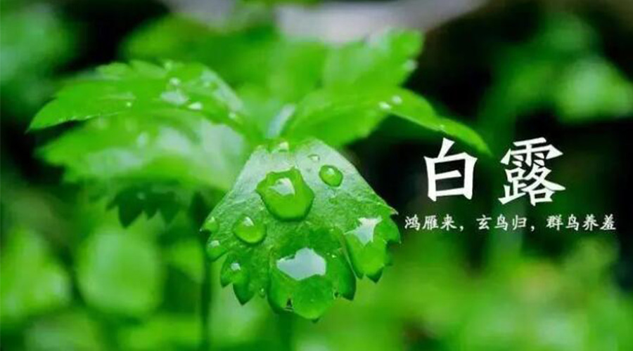 白露時節(jié)！金環(huán)電器提醒大家要注意的事項(xiàng)