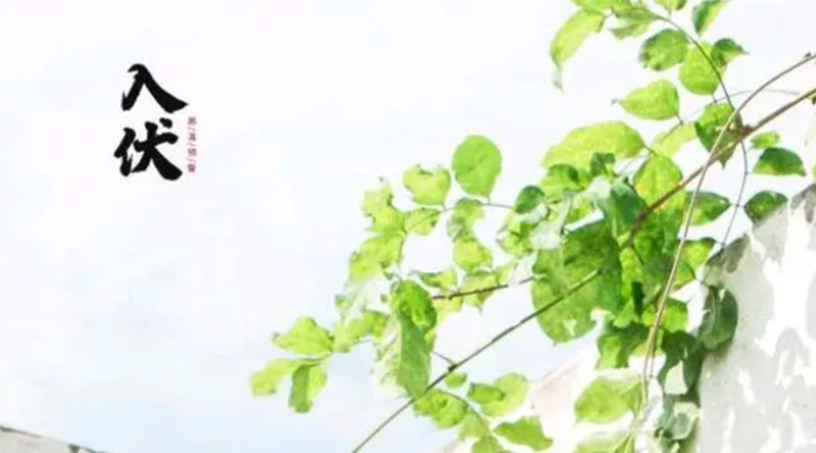 初伏時(shí)節(jié)！金環(huán)電器提醒大家要注意的事項(xiàng)