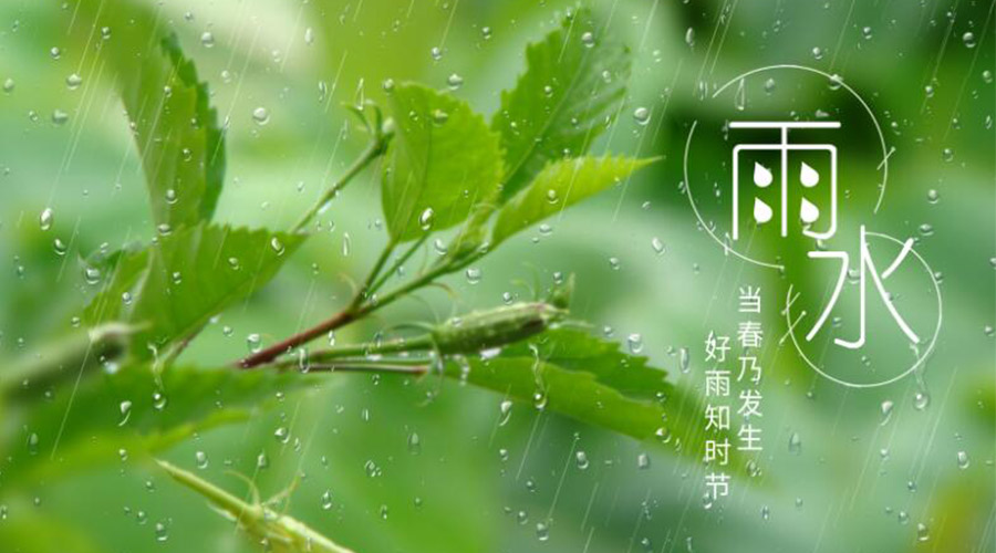 雨水時節(jié)！金環(huán)電器提醒大家要注意的事項