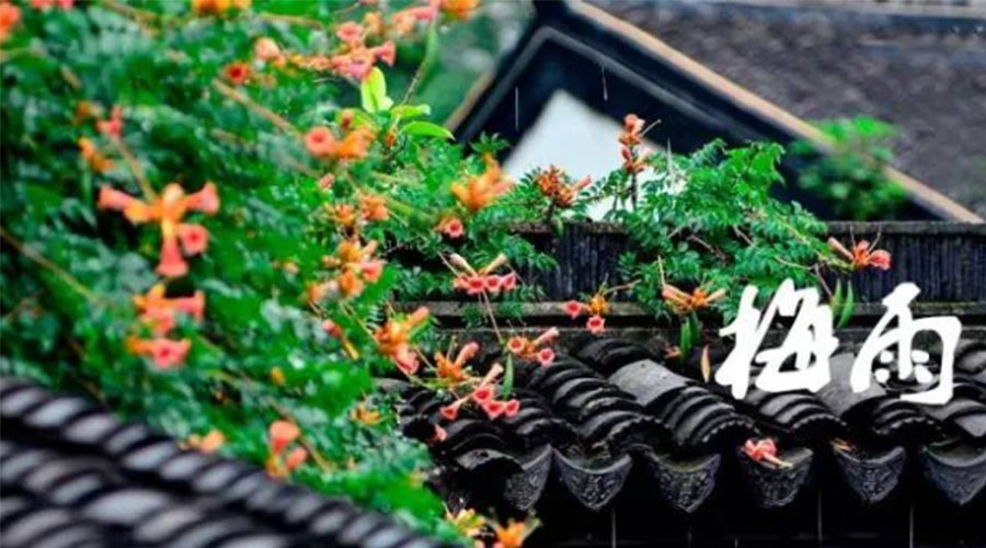 什么是梅雨？梅雨如何形成？  金環(huán)電器告訴你答案